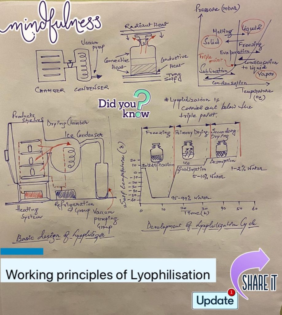 Figure: Working Principle for Lyophilization 